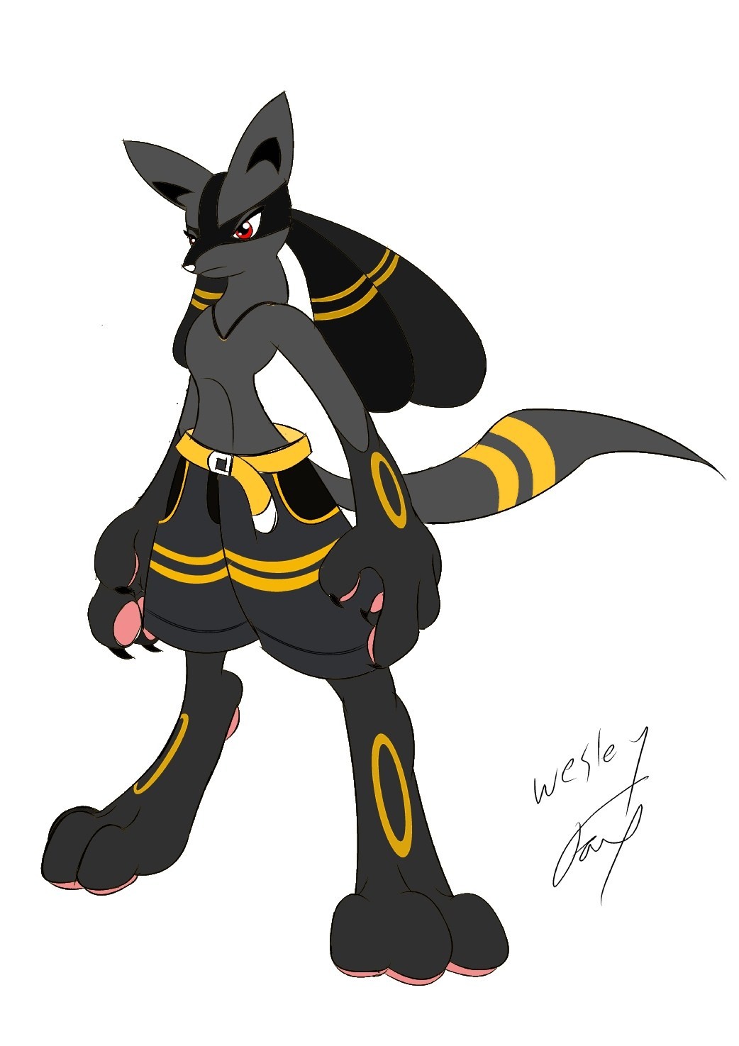 My Lucario Concept