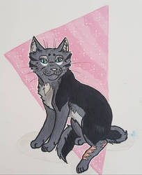 Cinderpelt 