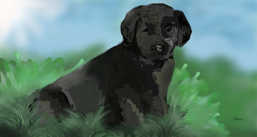 Black Lab Deviantart Black Lab Puppy by DarlingDaVinci on DeviantArt