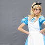 ALICE IN WONDERLAND: Alice in Wonderland