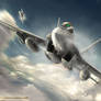 Super Hornet