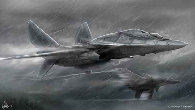 Fighters in the Rain