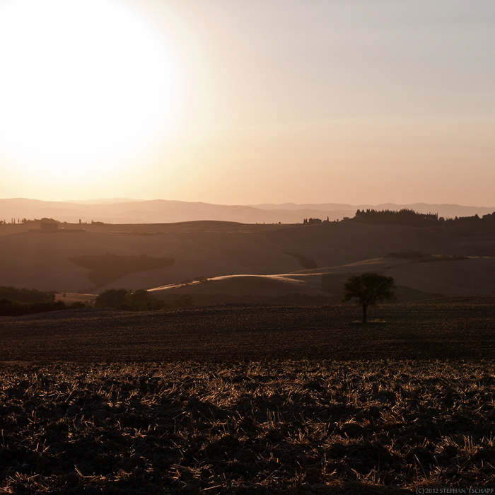 tuscan mood