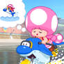 A Dolphin Dashing Daydream