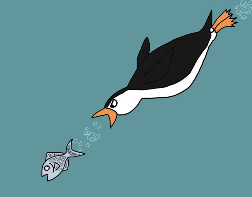 Penguin Chasing A Fish by andyrey38 on DeviantArt
