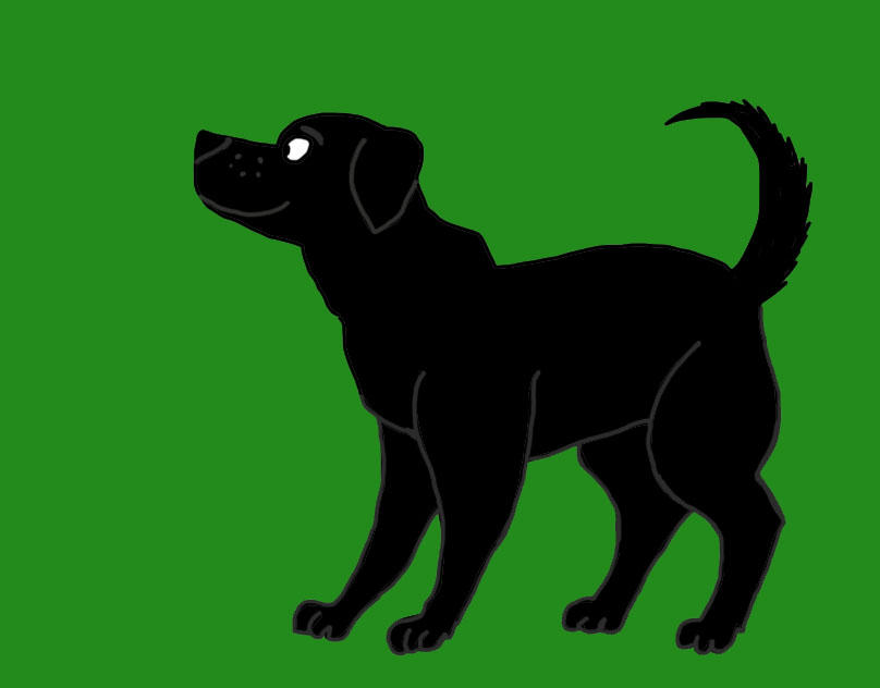 Black Lab Deviantart Black Labrador by andyrey38 on DeviantArt