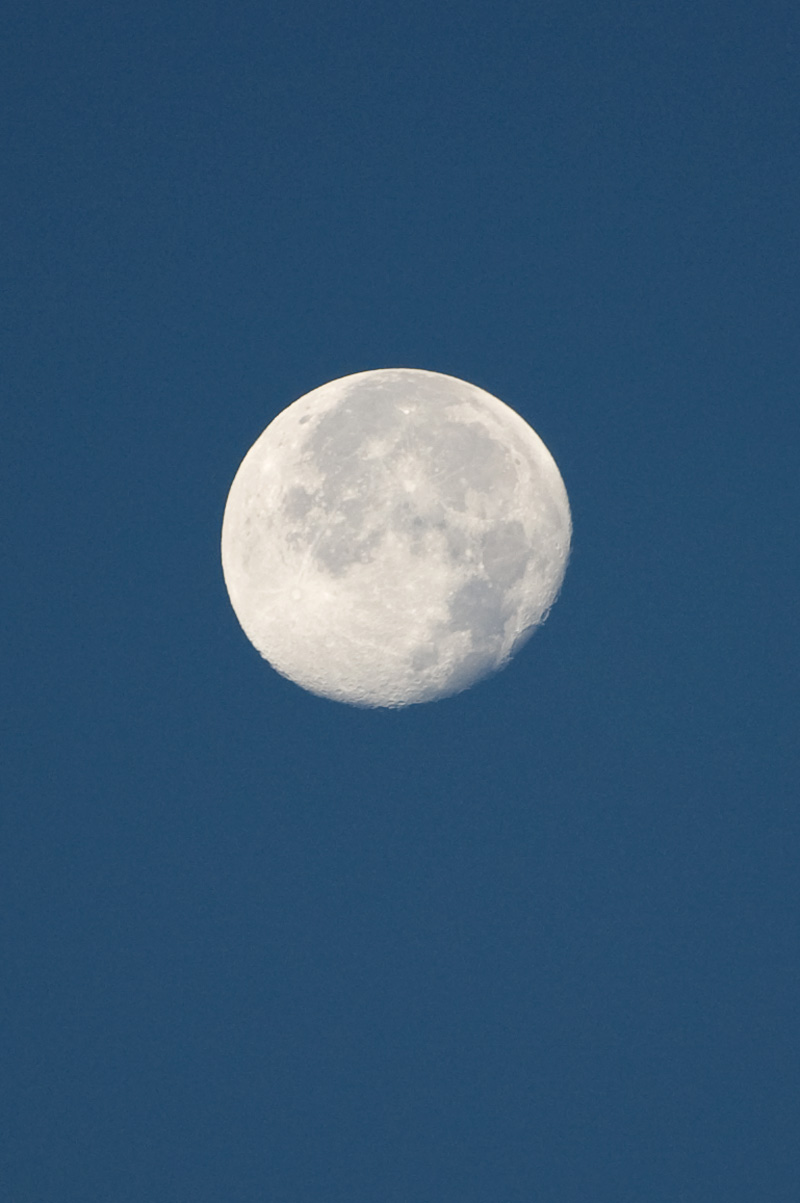 Morning Moon