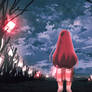 Shelter