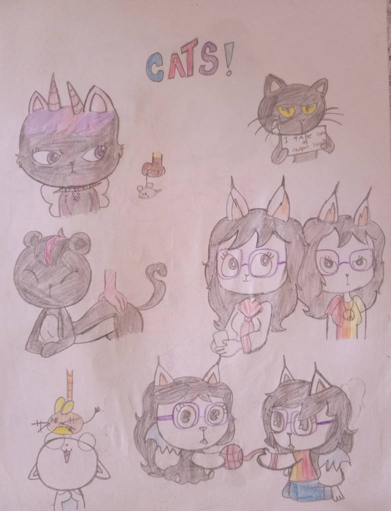 Cats!(Oc's) by Lauryelle on DeviantArt