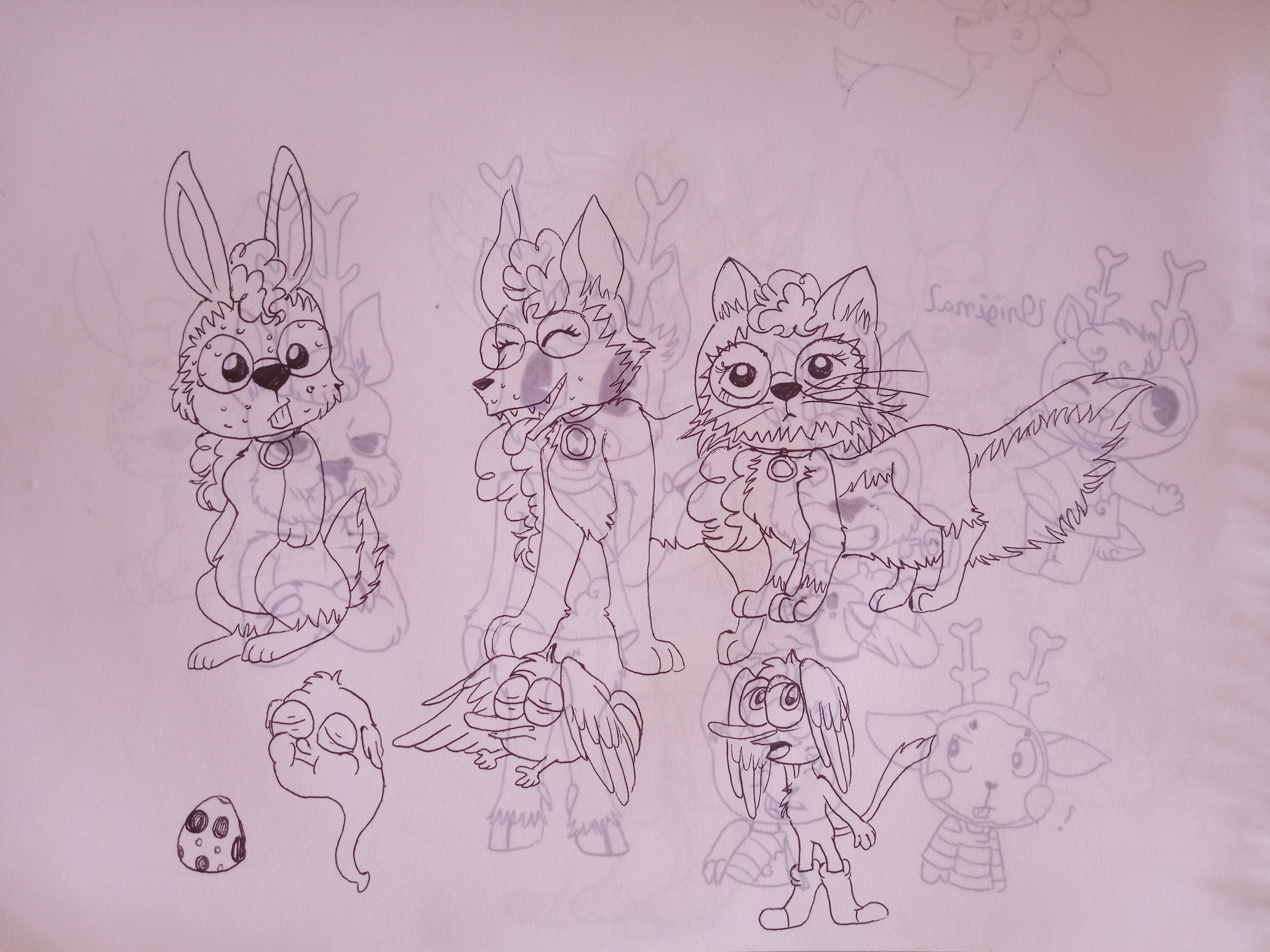 An bugbista and a wooloo evolution