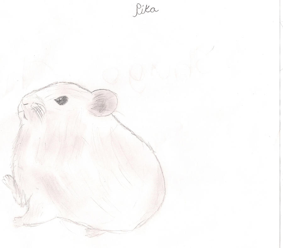 Pika by pepkitty on DeviantArt