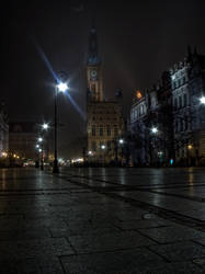 Gdansk by night.