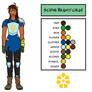Character Design - Sophia Brightforge