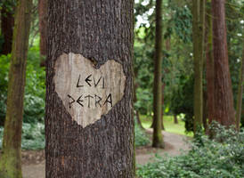 Levi and Petra Tree