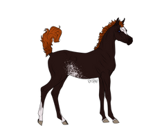 TKS E'atifi Ikbal Jaalib Foal Design