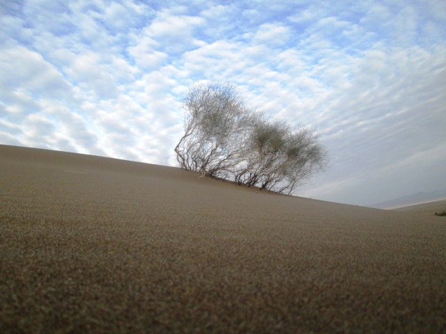 Through wind