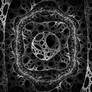 Deformation
