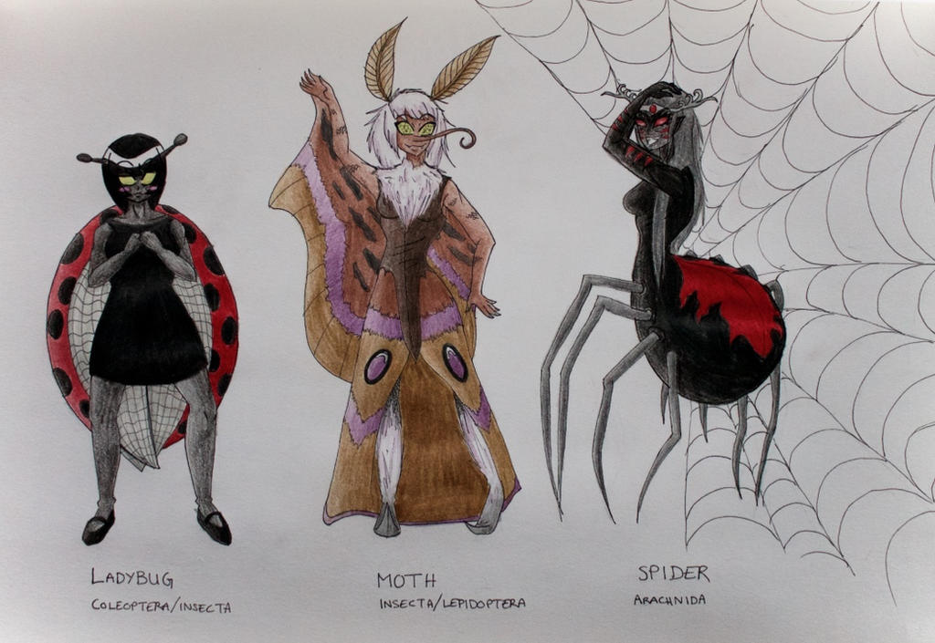 Insects by Chiichiichan94 on DeviantArt