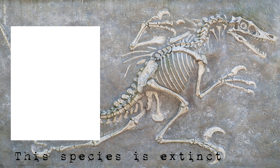 Extinction Template by The-JMP on DeviantArt
