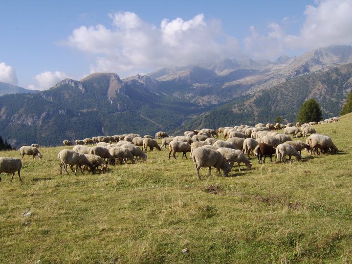 road for the Valle delle Meraviglie