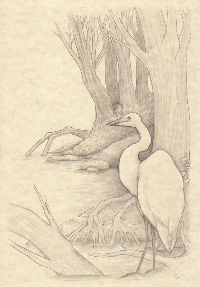 Ardea Alba by melyanna