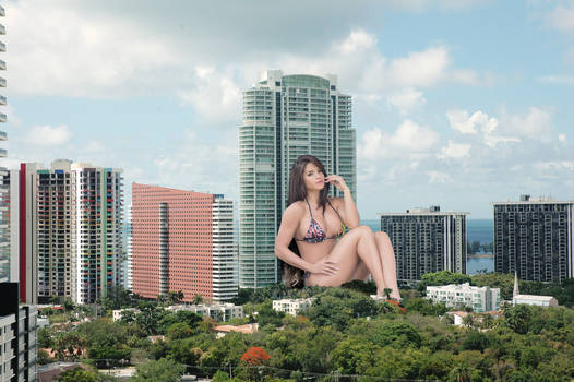 Michelle Lewin in Miami