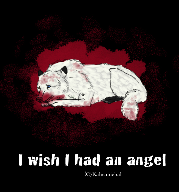 I Wish I had an Angel