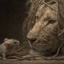 Day 11: Curious + Melancholic Fable Portraiture