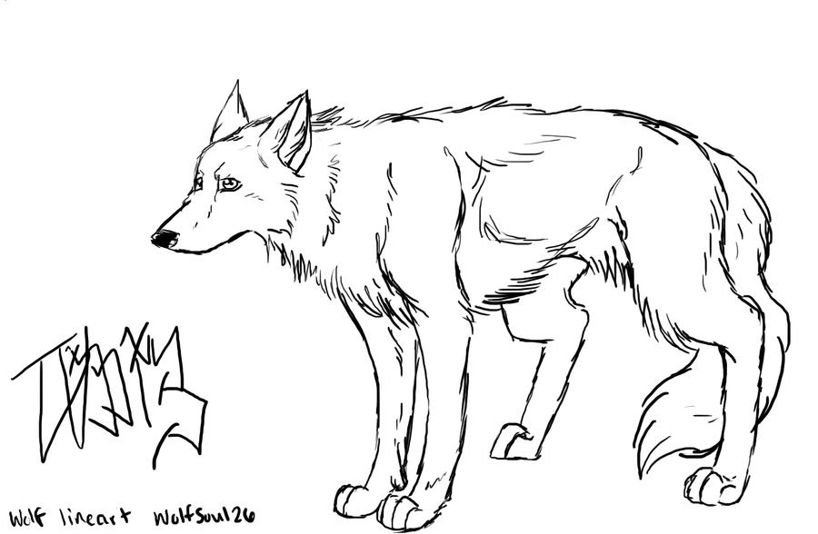 Basic Wolf Lineart Wolf lineart by Wolfsoul26 on DeviantArt
