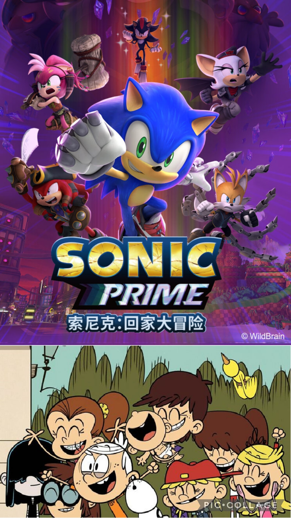 Sonic Prime Into The Walking Dead by RyanTheHedghog01 on DeviantArt