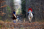 Through the Trail by PaulMcKinnon