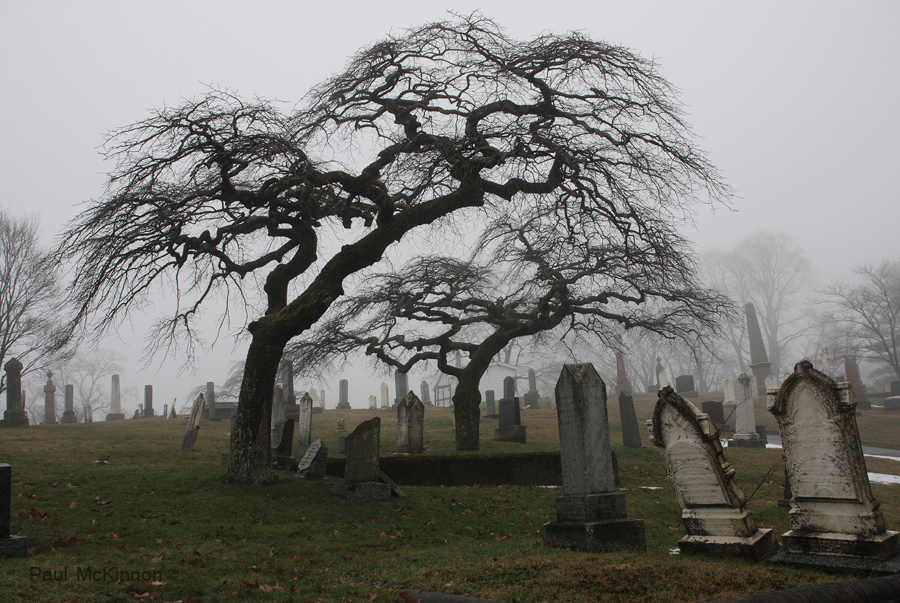 The Cemetery