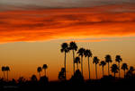 Phoenix Sunset by PaulMcKinnon