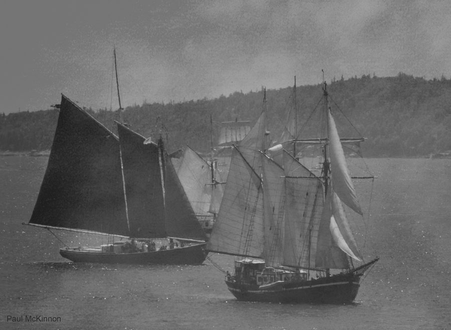 Tall Ship Traffic