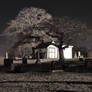 Night-time in the Cemetery