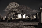 Night-time in the Cemetery by PaulMcKinnon