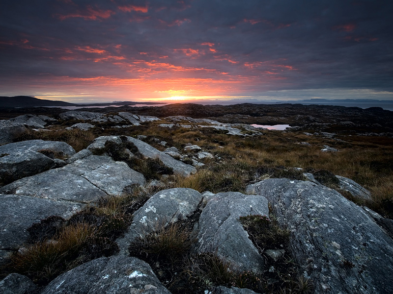 Barren landscape