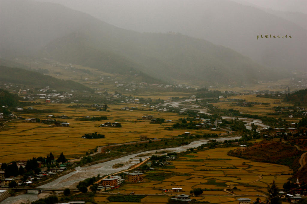 scene from paro