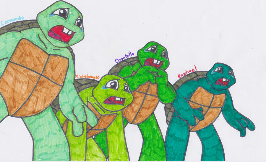 Turtle Toony Turtle-tots ^^ by Skyfi96 on DeviantArt