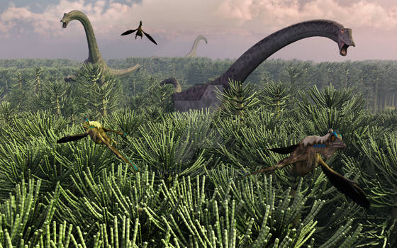 Diplodocus Forrest.