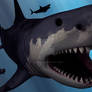 Megalodon Sharks