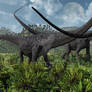 Diplodocus Dinosaurs Feeding