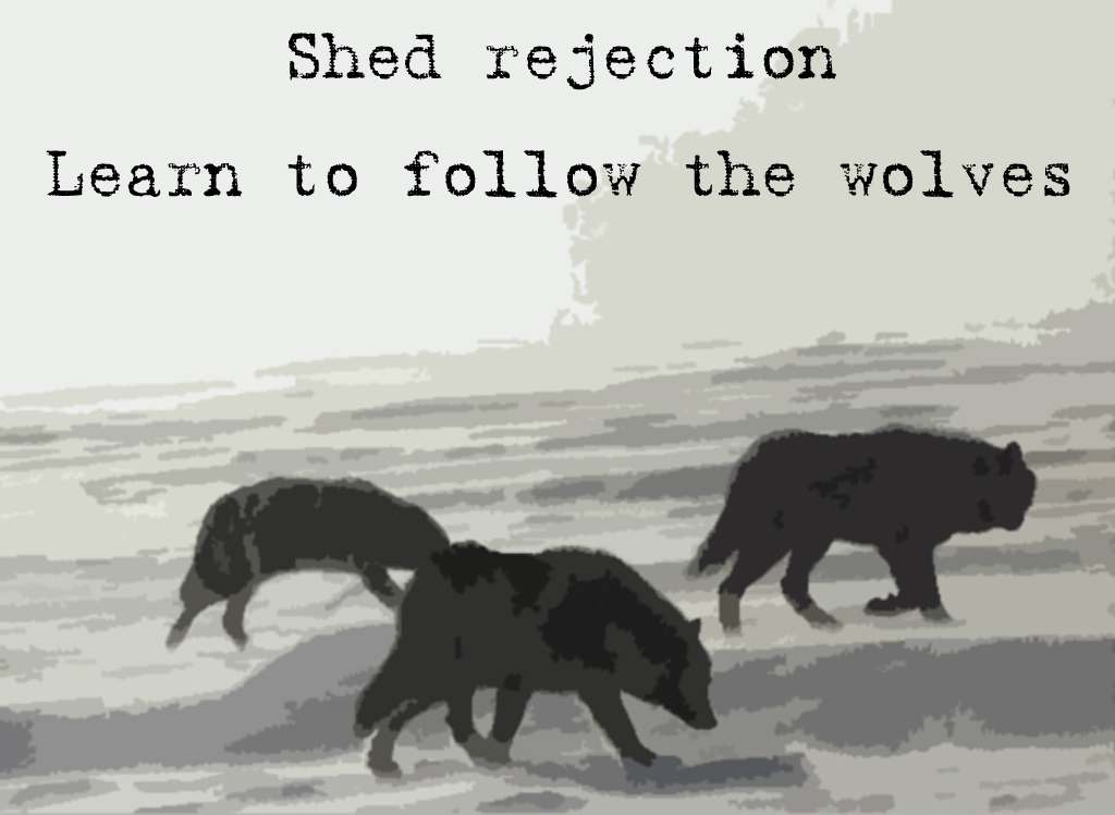 Follow the Wolves