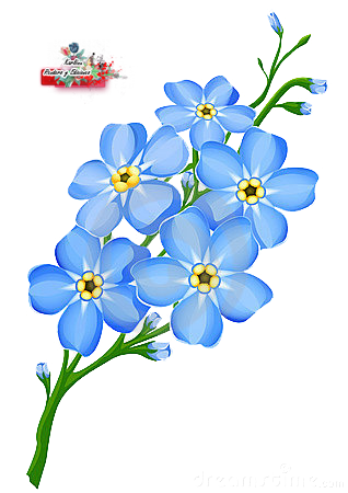 Flor azul png by karliinu on DeviantArt