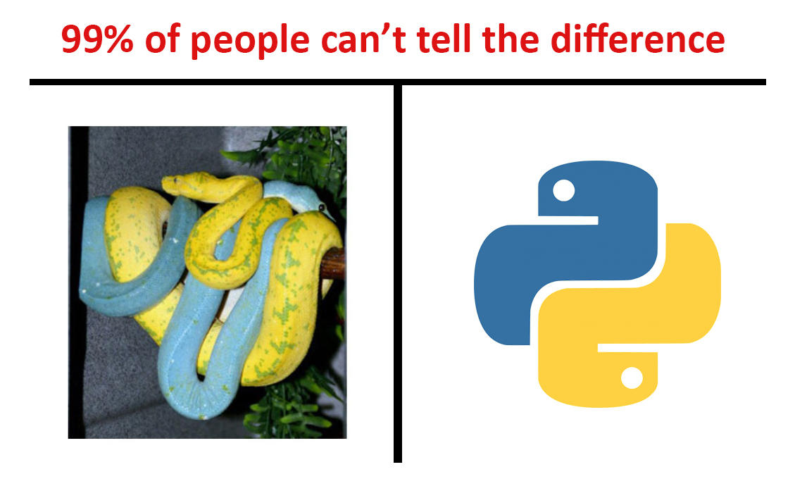 Python Meme by s0urceduty on DeviantArt