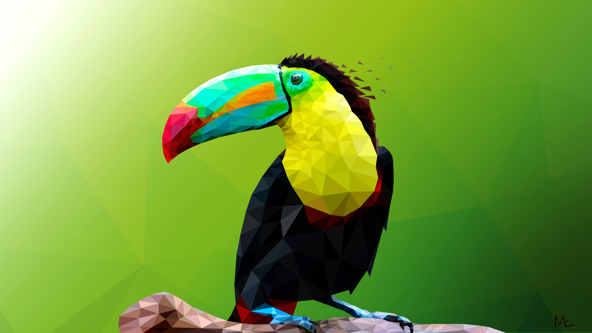 Toucan low poly art