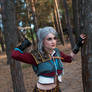 Cirilla Fiona Elen Riannon - The Witcher 3