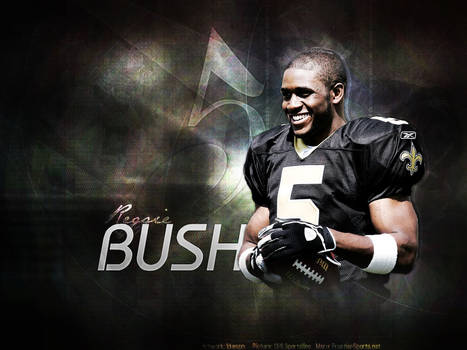 Reggie Bush