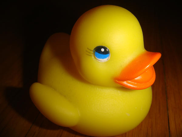 Rubber Ducky