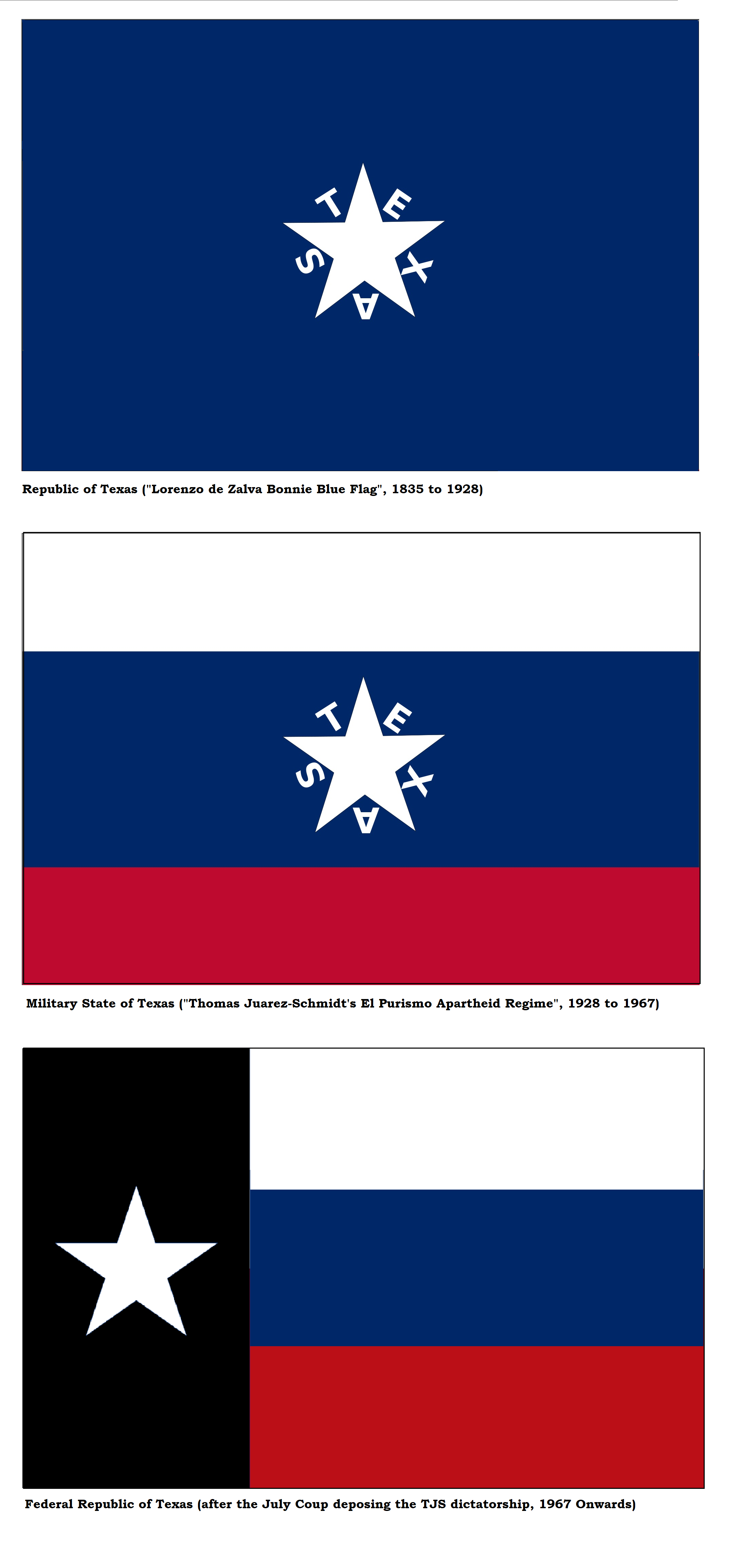 File:They carried a Texas flag and a Rammstein flag.jpg - Wikimedia Commons